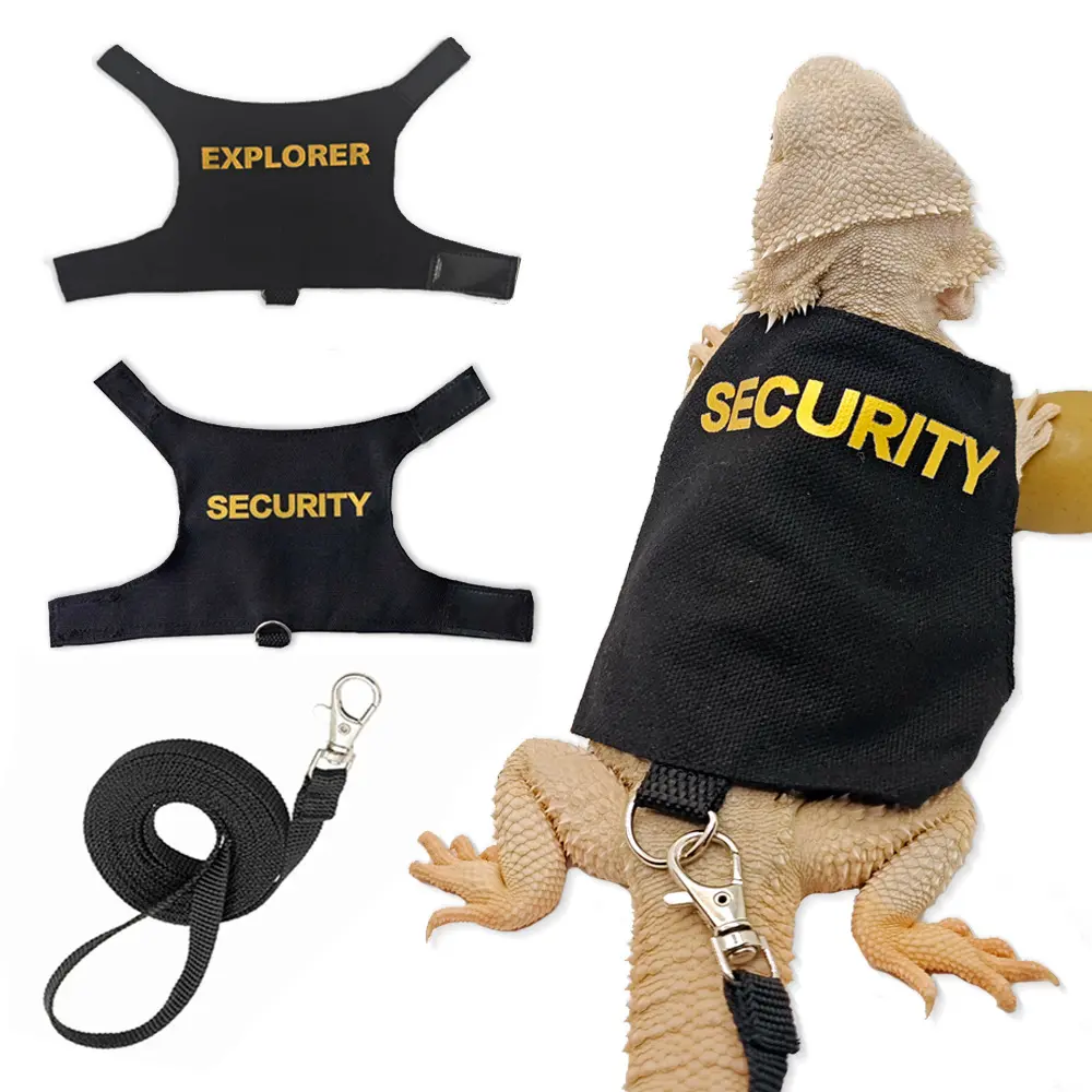Adjustable Harness & Secure Leash Set for Small Pets - Reptiles/Squirrels Outdoor Supplies, Collars & Harnesses & Leads for Lizard, Chameleon Small Animals