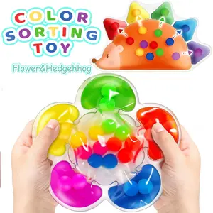 Color Sorting Toy for Toddlers, 2 Counts/set Montessori Sensory Play, Fine Motor Skills Development, Educational Travel Toy, Quiet Gift for Kids, Multi Activity Playset, Learning Materials