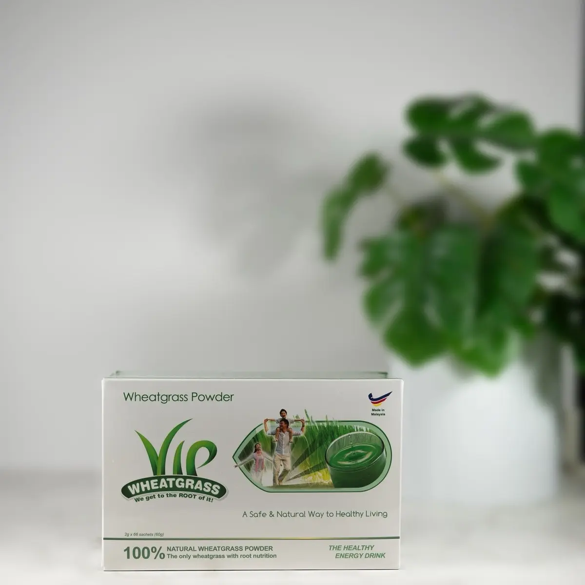 Wheatgrass Powder