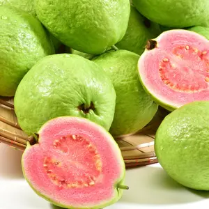 100+ Guava Fruit Tree Seeds for Planting Outdoor Pineapple Guava Seeds Non-GMO Heirloom Fruit Exotic and Delicious Tropical Fruit Bonsai Tree