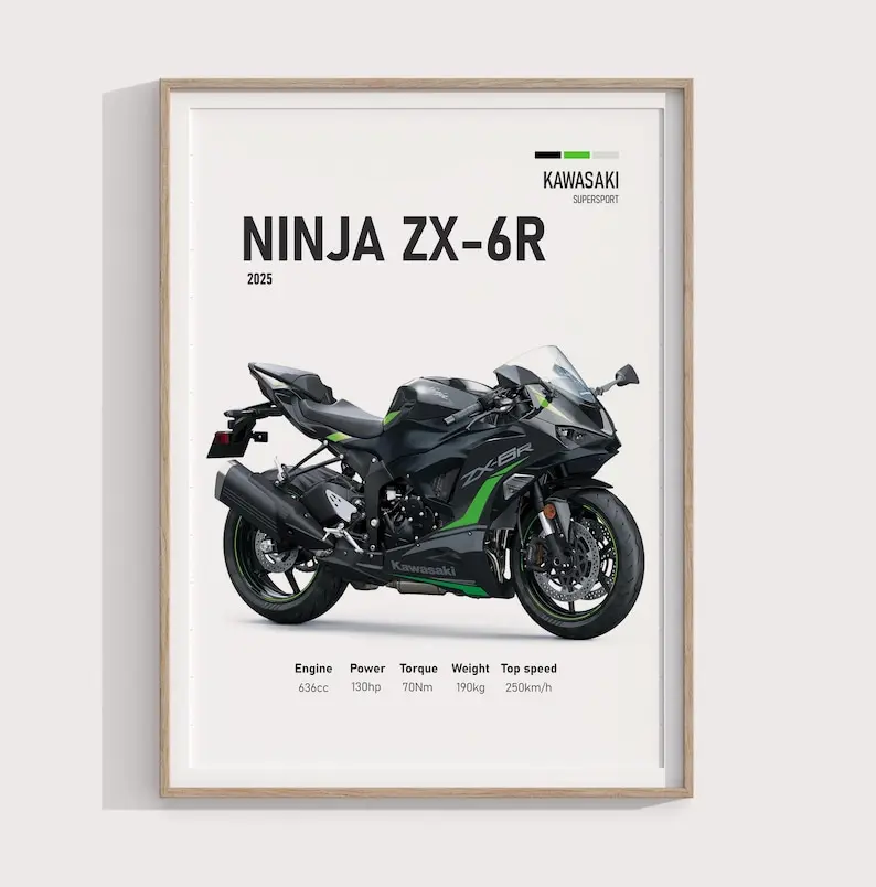 Motor Kawasaki Zx25r Kawasaki Ninja 3000 Price Ninja Zx25r Price