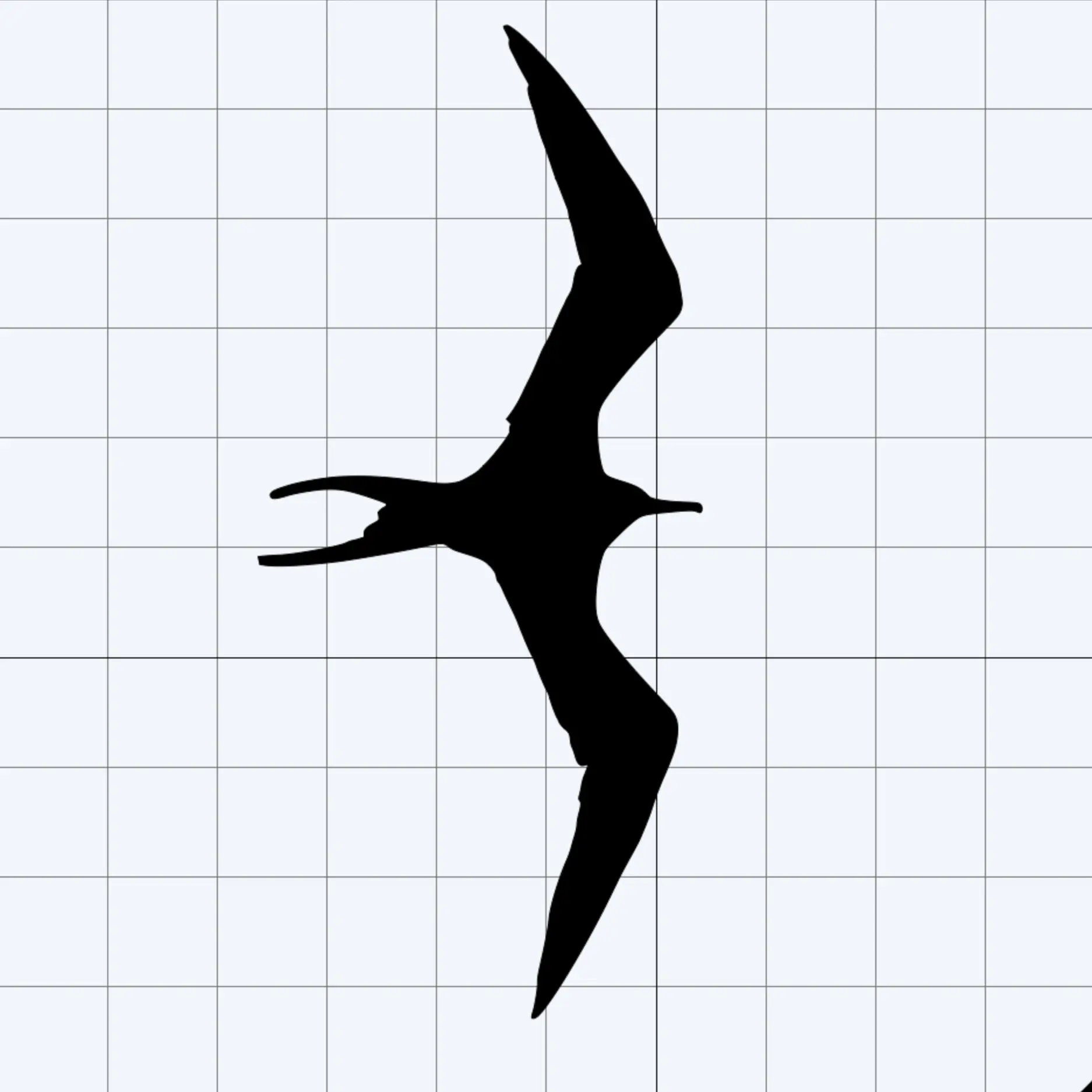 Large Iwa Bird Car Sticker, Left-Facing or Right-Facing Automotive Exterior Accessory