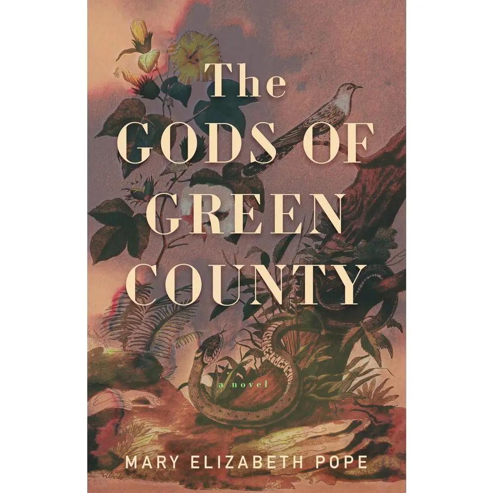 USED-The Gods of Green County by Pope, Mary Elizabeth (Hardcover)