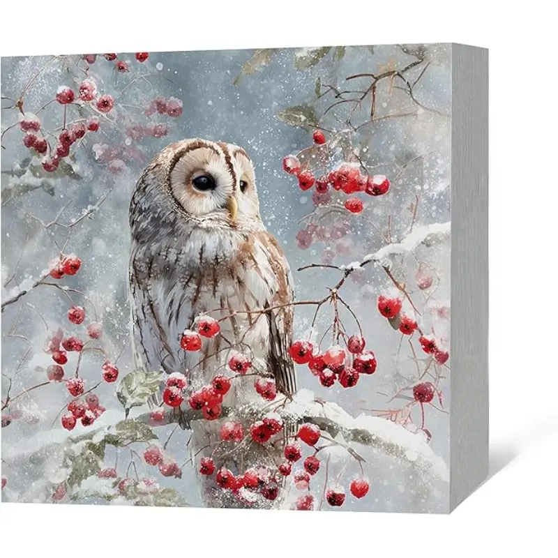 Winter Barn Owl Wood Box Sign Desk Decor, Owl Christmas Decorations, Rustic Christmas Winter Farmhouse Bird Wooden Block Box Sign Decoration for Home Bedroom Shelf Table Decor,5x5 inch