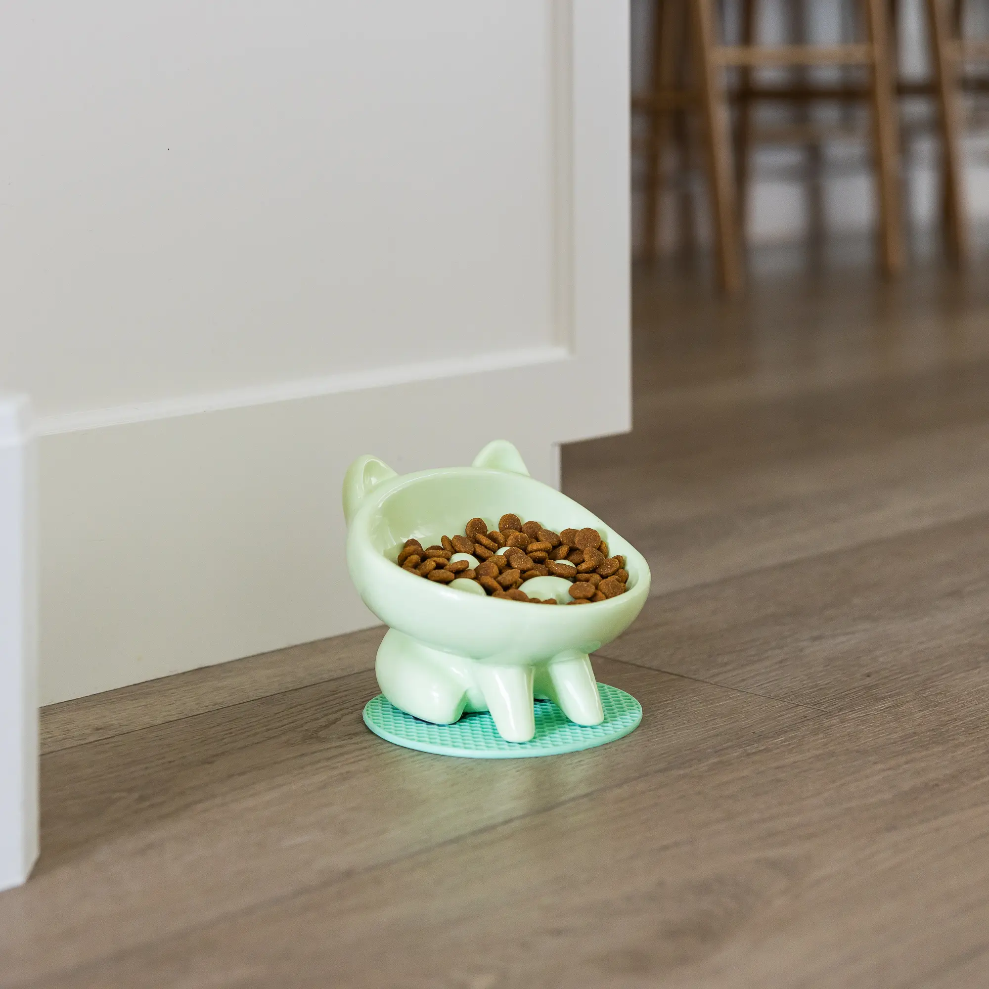 ChasKer Slow Feeder Bowl