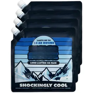 Ice Packs for  - Long Lasting Cold Freezer Packs for s and Lunch Boxes -  Ice Packs for Camping Gear, Fishing, Road Trips, Beach  Haves
