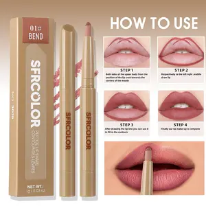 Dual-Head Full Lip Shape Long-Lasting Waterproof Lipstick Smudge Matte Foggy Lip Liner Pen, Flammable Aerosols No, Ca Prop 65 Notified Via Scpn/cnp