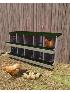 Metal Chicken Nesting Box For Laying Eggs, Rustproof Wall-Mountable Roll Away Chicken Laying Boxes For Hens, Waterproof, Ventilated With Perch, 10 Compartments, Green