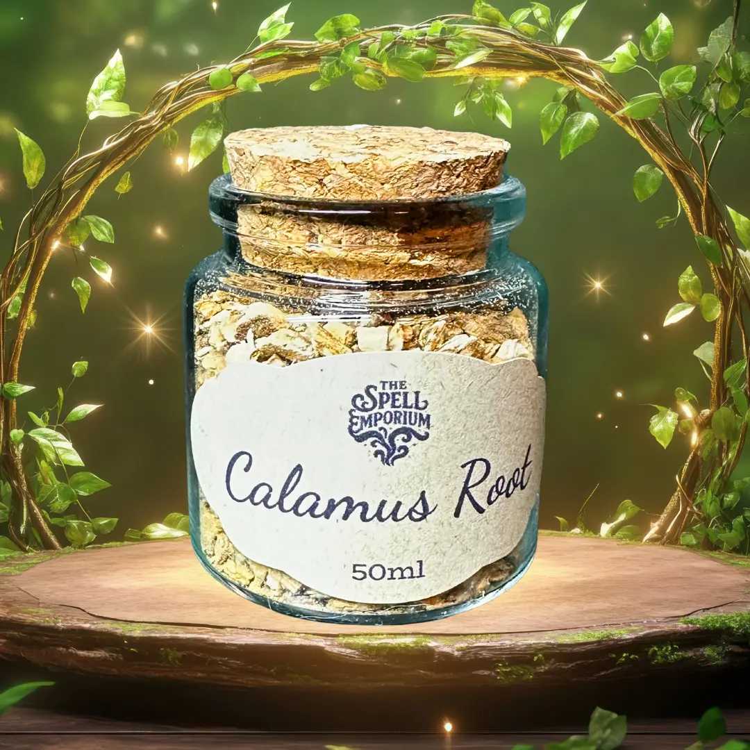 Calamus Root