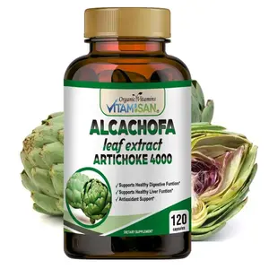 Artichoke Extract Supplement Antioxidant Botanical Formula 120 Capsules