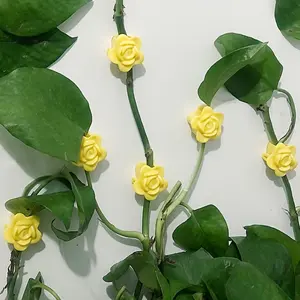 20pcs, Rose Plant Climbing Wall Fixture Clips, Wall Plant Holder, Self-adhesive Plant Fixing Hook, Sticky Plant Fixing Clip for Plant Garden Pothos Vine Decoration