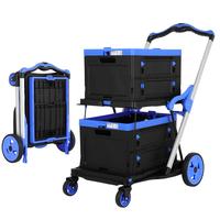 BLUE & BLACK (TWO  Baskets)