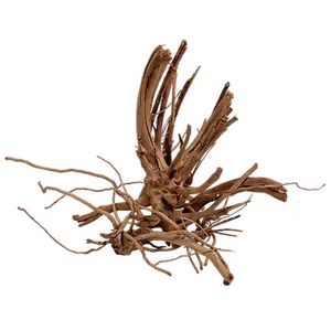 WIO Wood - Blondspider