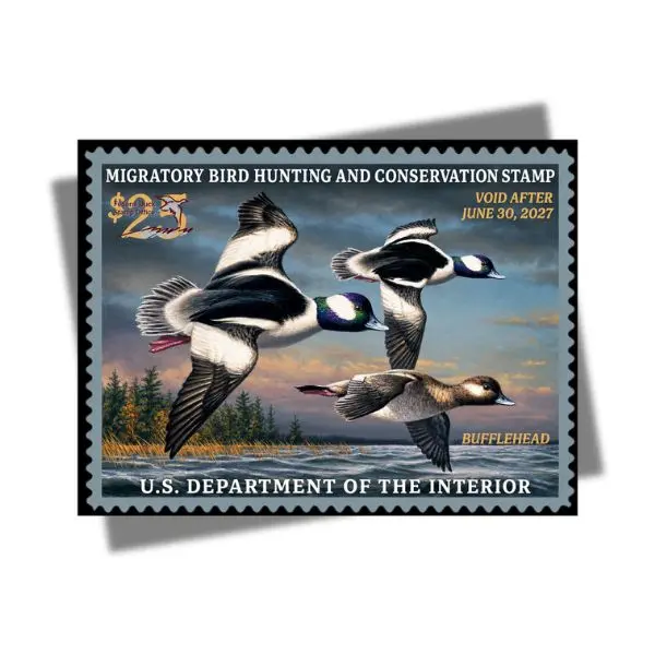 Bufflehead Duck Stamp Poster, Vintage Waterfowl Hunting Wall Art, Migratory Bird Conservation Print, Federal Duck Stamp Decor, Wildlife Hunter Gift, Rustic Cabin Artwork