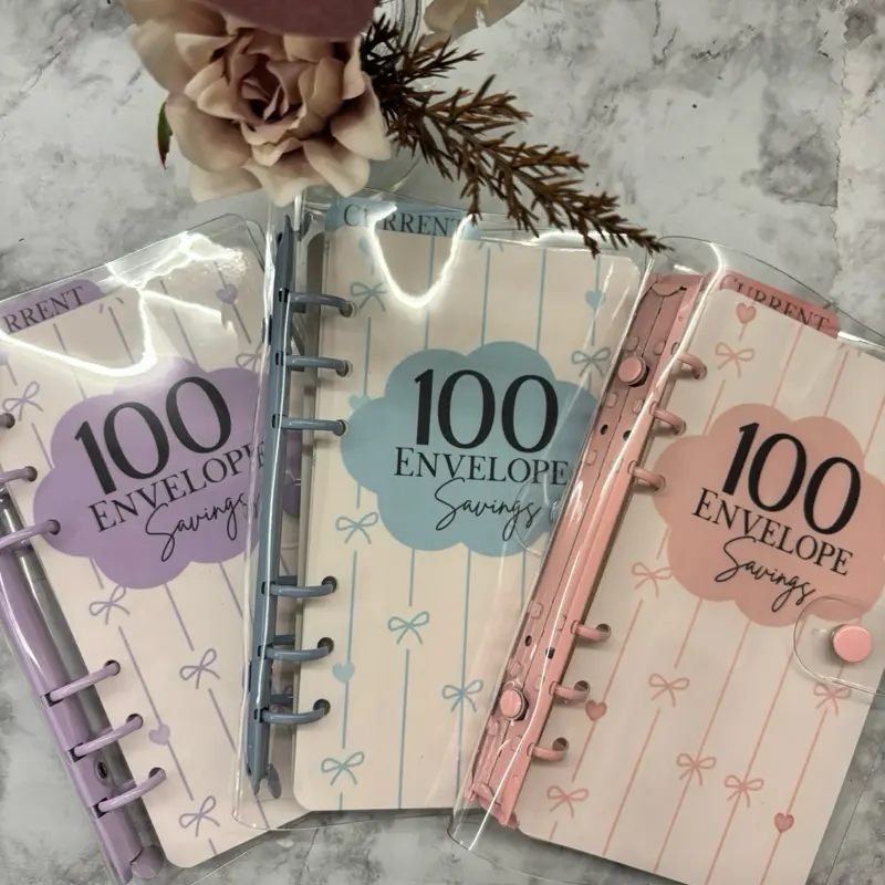 100-Piece Savings Envelopes Set for Budgeting, Personal Finance Planning