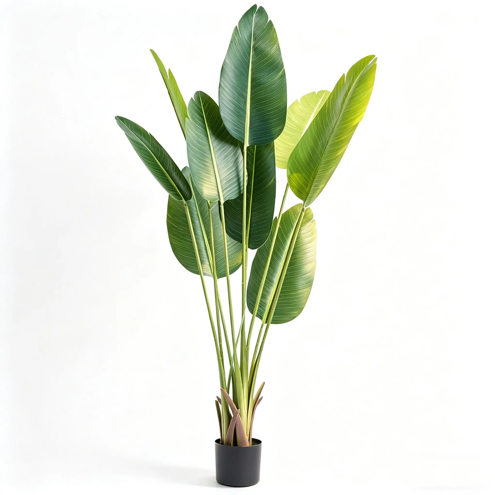 5ft Plastic Faux Bird of Paradise Tree (60-in) - UV-Resistant, Waterproof Artificial Plants Decor with Dried Moss & Black Pot, Outdoor Artificial Flowers for Balcony, Home Decor, Ideal Housewarming Gift