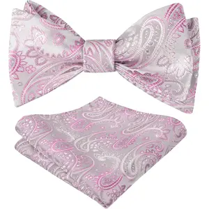 Alizeal Mens 2pcs UNTIED Gradient Paisley Self Bow Tie and Hanky Set