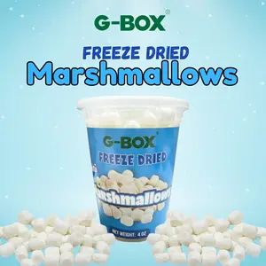 G-BOX Freeze Dried Marshmallows Mini 4 OZ in Air Tight Container Sweet Crunchy Snack Bite