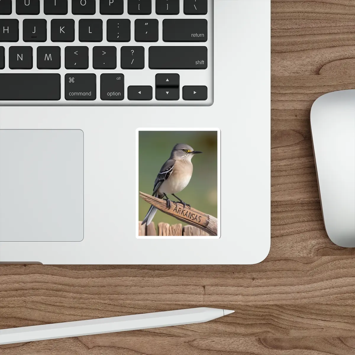Arkansas Bird Die-Cut Stickers, Nature Lover Décor, Laptop Stickers, Wildlife Enthusiast Gift, Birdwatching Accessories,