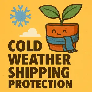 Winter Shipping Protection
