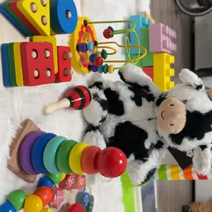 9-Piece Wooden Toy Set, Colorful Shape Sorting Toys, Montessori Educational Toys for Children, Early Learning Toddler Gifts, Shape Sorter