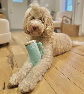 TUMBLER CUP FUNNY DOG TOY
