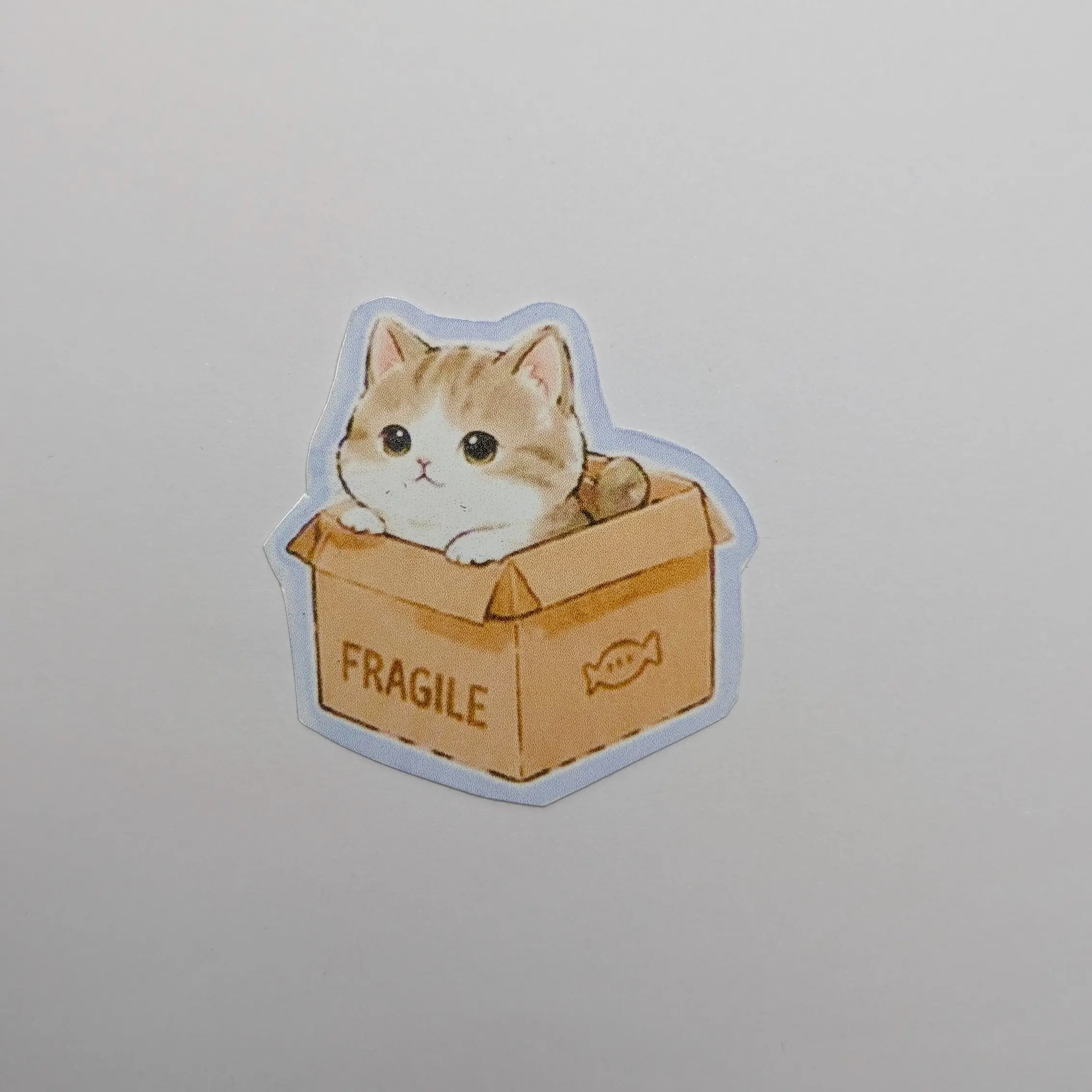 Cute Cat in Box Sticker - Fragile Design for Decorative Use