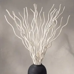 17 Inch Natural Dried Curly Willow Branches, 15 Pcs White Twigs Decorative Twisted White Sticks for Home Wedding Vase Decor