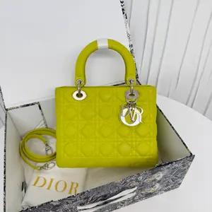 Pre-owned Dior Leather Shoulder Bags 7.8'' R13969 Shoulder Bag C6845201168 1116 T1 Chloe