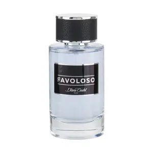 Diane Castel Favoloso - Cologne for Men - Woody Marine Fragrance - Mens Cologne with Grapefruit, Violet, Lavender, Cedar, and Amber - 3.3 oz
