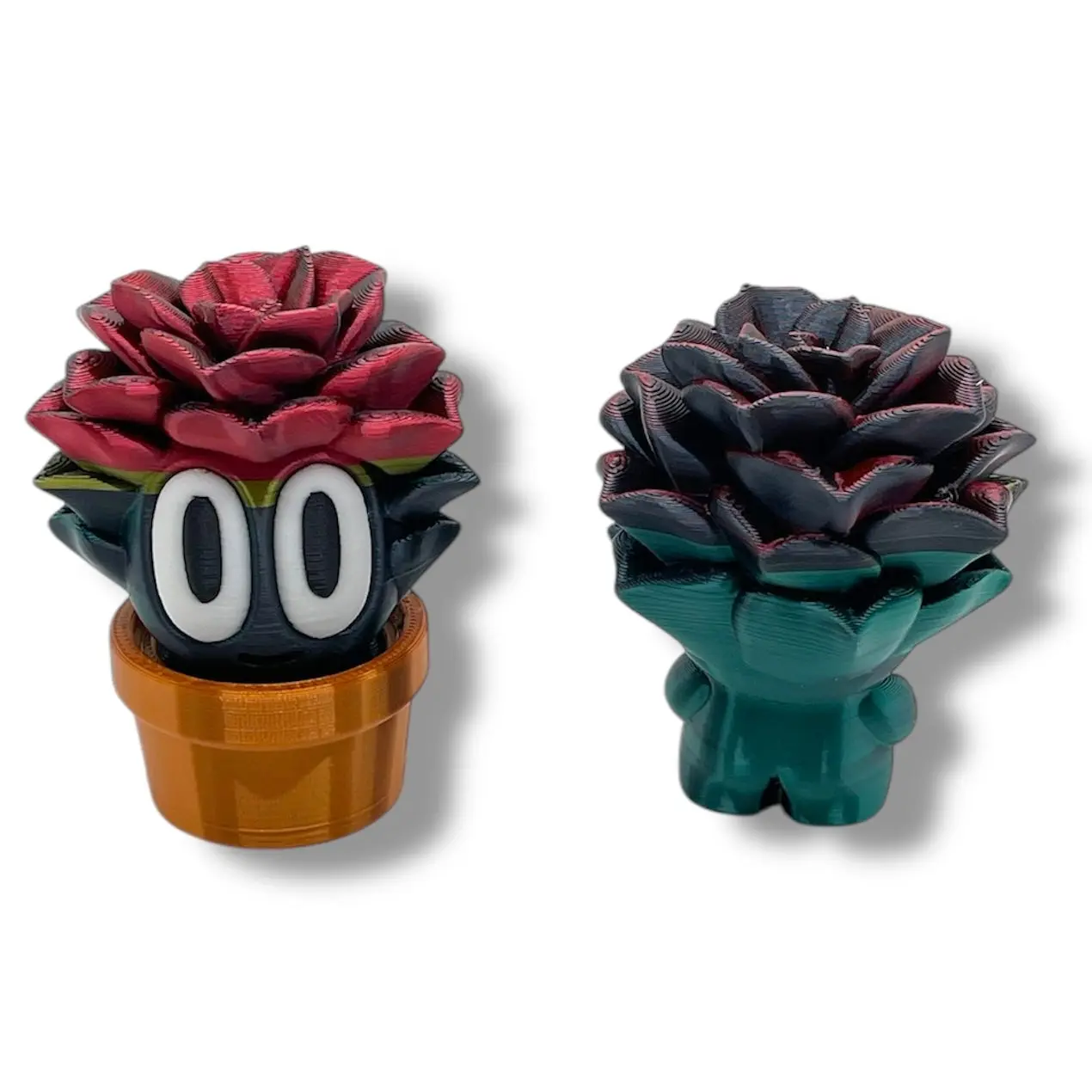 SMALLZ Succulent Silk Black/Green Rose