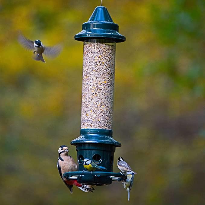 Squirrel Buster Plus Feeder