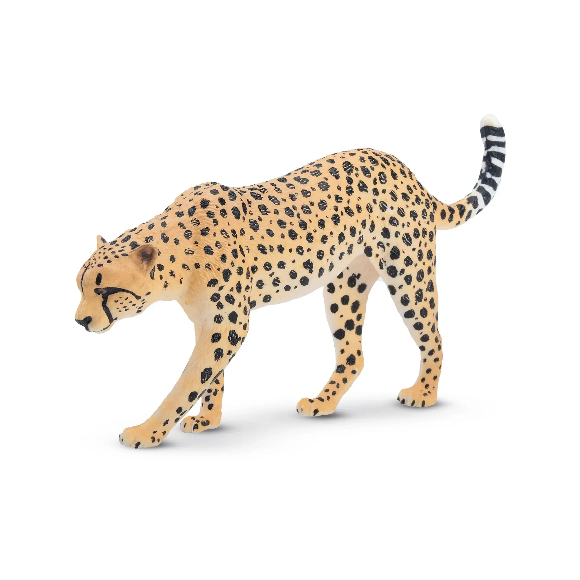 TOYMANY PVC Solid Hand-Painted Male Cheetah Figurine - Unisex Toy Animals, 1.01 oz Montessori Sensory Play Toy for 3+ Kids, Realistic Collectible, Early Education Gift (Animals & Nature Theme), Age 3+