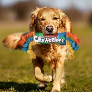 Durable Dog Chew Toy, 1 Count/2 Counts Funny Dog Teeth Cleaning Toy, Interactive Dog Toy, Pet Chew Toy, Dog & Cat Accessories