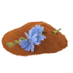 Chicory Root Powder | Coffee Alternative | Caffeine Free | Cichorium intybus | 1-16oz