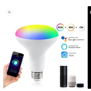 Tuya Smart WI-FI Bulb Light Amazon Alexa Google Speaker