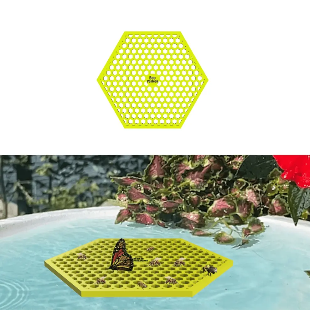Honeycomb Bee Pontoon