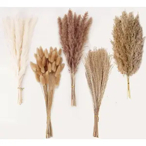 Natural Dried Pampas Grass Decor, 110 PCS Pampas Grass Contains White Bunny Tails Dried Flowers, Artificial Flowers for Bathroom Decor, Bathroom Wall Decor, Office Decor and Baby Shower Decorations