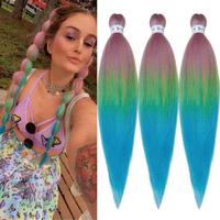 FR24 Ombre Braiding Hair 3 Packs