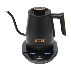 HADEN Gooseneck 0.6-Liter (2.5 Cup) Electric Kettle