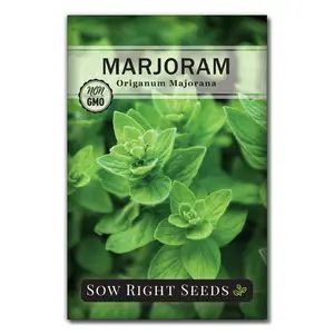 Marjoram