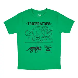 Youth Funny T Shirts Triceratops Infographic Awesome Dino Tee For Kids Funny T Shirts Science Tops for Kid Funny Dinosaur Short Sleeve Novelty Tees for Kids Green -