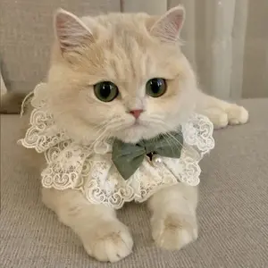 Cat Clothes Summer Thin Ragdoll Cat Kitten Milk Cat Skirt Princess Dress Cat Summer Collar Scarf