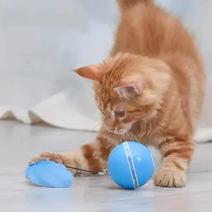 Interactive USB Rechargable Cat Toy