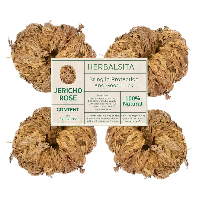 4 Pack Jericho Flower (2.5"–3.5") – Premium Rosa de Jericho | Resurrection Plant for Unique Home Decor