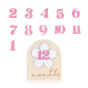 Baby Monthly Milestone Sign, Wooden Arch Photo Prop with Interchangeable Numbers 1-12 Months, Pink Daisy Floral Theme for Baby Girl, Boho Newborn Photography Prop, Baby Girl Nursery Decor, Baby Shower Gift for Girl, Mom-to-Be Gift, Monthly Photo Marker