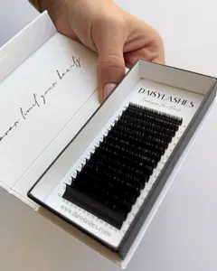 D Curl 0.06 Mixed Tray – Perfect for Volume & Mega Volume