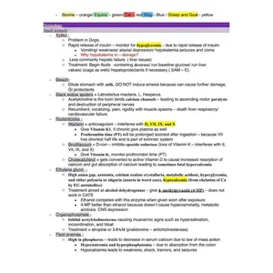 Comprehensive BCSE and NAVLE Study Notes Bundle - Complete BCSE Navle Notes - Ace Your Veterinary Exams!