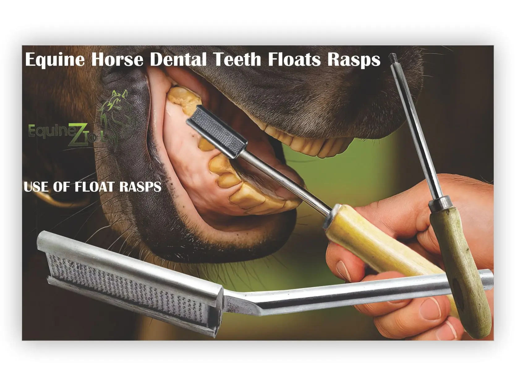 Equine Dental Teeth Floats Rasps Set – Straight & Angled Adjustable ...