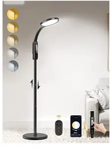 Eye-Careing Floor Lamp